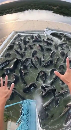 Insane POV Water Slide FAIL – Launched Into a Pool of Monsters! 4K #waterslide #waterpark #shorts