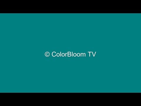1 Hour of Soothing Teal Screen | ASMR Visuals