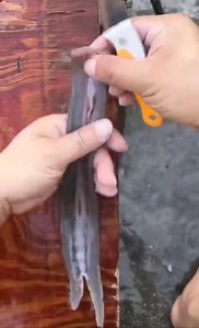 1.3M views · 1.8K reactions | How to make snake meat #meatlovers #meatballs #meatstew #foodie | Digestive Biosystems | Facebook