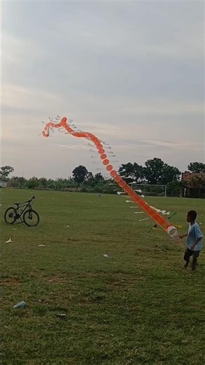 The Art of Indonesian Dragon Kites