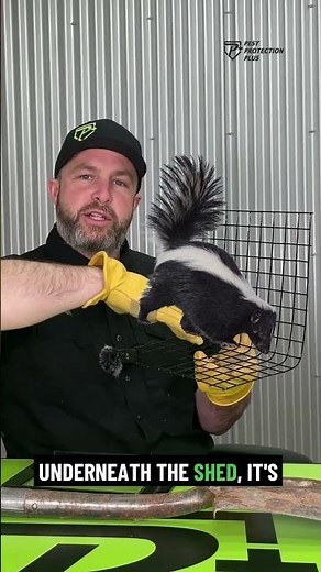 Prevent Wildlife from Burrowing Under Your Shed!
