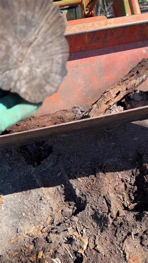 9.4K views · 147 reactions | Natural Garden Pest Control comes in many forms. I’m always grateful to see these little creatures around my farm because I know they are eating so many pests everyday and this is their home too. #naturalpestcontrol #organicgardening #gardenpests | The Zen Hen and The Honey Bee Farm | Facebook