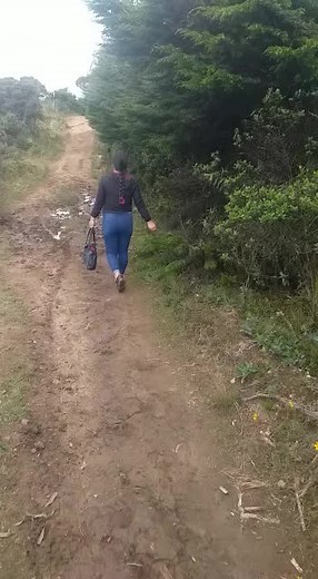 Exploring a Muddy Path in Nature
