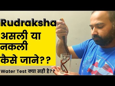 Rudraksha Original test | How To Check Rudraksha by Water Test | benefits of rudraksha
