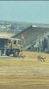 50K views · 271 reactions | Robot dogs in use in Chinese army's operations | Mother's Story | Facebook