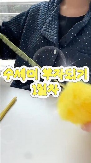 수세미 부자되기 1일차 호빵뜨기! #crochet #뜨개로그 #diy #코바늘뜨기