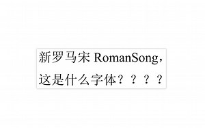 新罗马宋体-中文宋体和英文Times News Roman合体