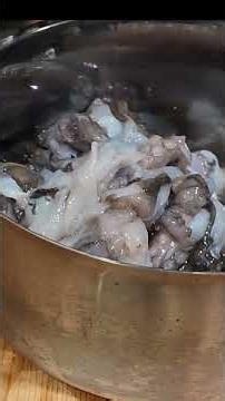 釣ったタコで絶品タコ飯！大阪湾の恵みをいただきます。