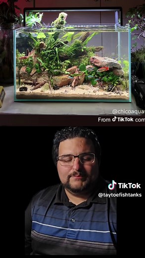 Stunning Fish Tanks Rated in Episode 9!