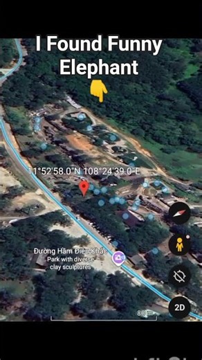 I Found Funny Elephant 🐘😱in google map and google earth #shorts #mkbro55
