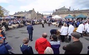 Masham Sheep Fair 2017