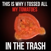 17 reactions · 16 shares |  Think eating tomatoes is the ideal way to a healthier body?? Watch this! Beloved Dr. Steven Gundry reveals the core key to better metabolism, digestion & weight—which has helped THOUSANDS finally achieve the body they've always wanted. Get powerful help with Total Restore now  bit.ly/3cSEg2H | Gundry MD | Facebook