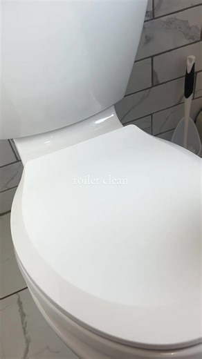 Effortless Toilet Cleaning with Fabuloso