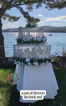 ✨ Wings of Peace Dove Release — hand release and a dozen from the custom heart-shaped basket.