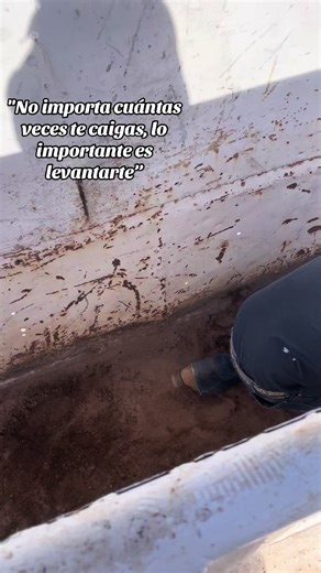 Caballos: Levántate Tras Cada Caída