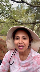 How to grow organic turmeric? #gardening #organic | Patilkulkarnifarms