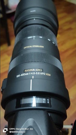 Nikon D7100 with 120-400mm Lens #nikon #nikond7100 #shortvideo #shortyoutube #shorts #short