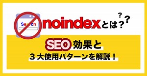 noindexとは？SEO効果と3大使用パターンを解説【Googleの見解も】 -webma-