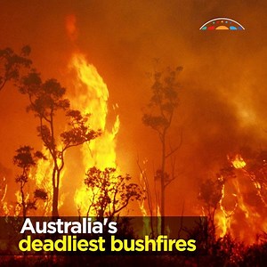 Australia's deadliest bushfires. These infernos aren't the first and definitely won't be the last. | Australian Academy of Science