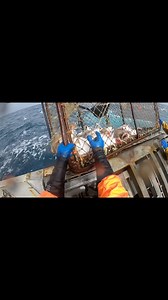 3.6K views · 71 reactions | Bering Sea Cod Fishing . . . . . . . . . . . .#commercialfishing #fishing #bristolbay #salmon #eatwild #salmonlife #commercialfisherman #nopebblemine #fishinglife #savebristolbay #deadliestcatch #alaska #seafood #knowyourfisherman #sustainablefishing #alaskafishing #wildcaught #fishingvessel #sustainableseafood #bristolbaysockeye #gillnetting #wildfishing #kodiakmarine #seamarnaknek #salmonlove #fish #conse#916#sacramento #209 | Luke Clay | Facebook