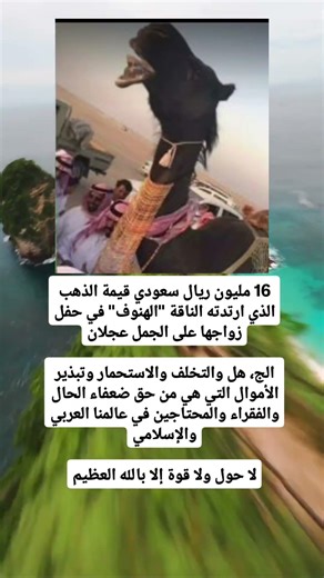 16 مليون ريال سعودي قيمة الذهب الذي ارتدته الناقة "الهنوف" في حفل زواجها