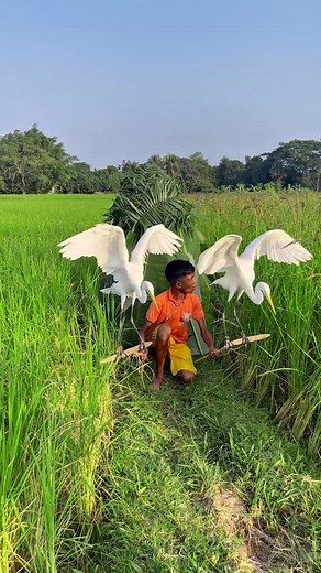 2.3K views · 55 reactions | #amazing #trending #bird #bok #hunting | Nayem Comedy 02 | Facebook