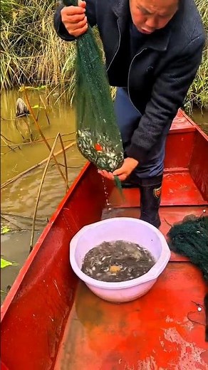 River fishing process#fish