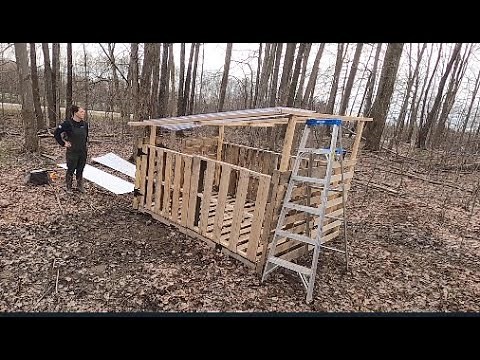 Building A Chicken Coop Out of Pallets - Part 1- Bainbridge Blooms