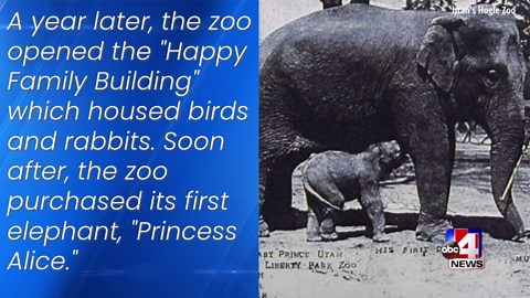 Utah's Hogle Zoo welcomes playful sea lions Kenney and Banana
