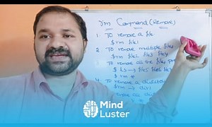 Mind Luster - Learn rm command in unix linux Remove Shell Scripting Programming Operating System