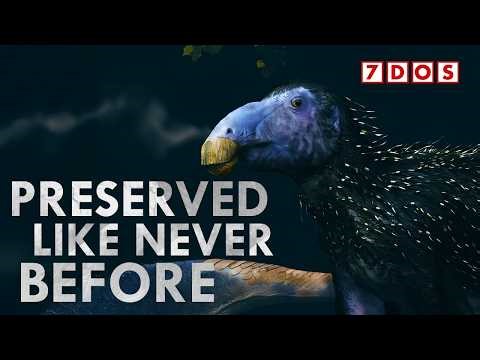 This Changes How We Reconstruct Dinosaurs