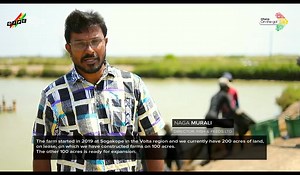 Fish & Feeds Ltd., based in Sogakope, was established in 2019 by Danish farm, DanMarin. In today's video, Naga Murali, Director of Fish & Feeds, discloses his company's initial visits to some 14 other countries before finally settling on Ghana, which has proven to be an excellent location for doing business. Are you looking for a conducive environment to start an agricultural business? Come "Grow in Ghana & with Ghana." #ghana #business #tilapia #investment #gipc #agriculture | Ghana Investment 