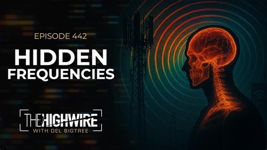 The Highwire - Episode 442 - Hidden Frequencies