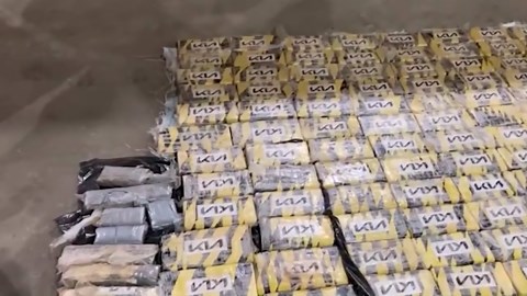 Colombian Cali cartel members caught trying to smuggle nearly 600 kilos of cocaine destined for EU