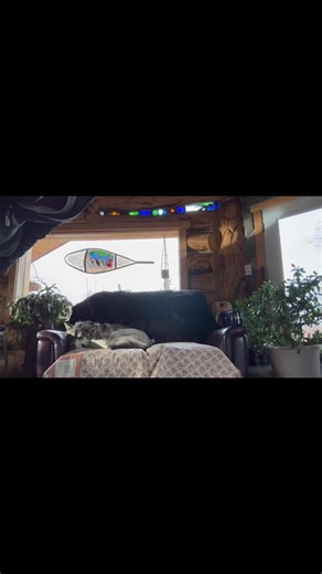 Alaska. Now. | Marty Raney