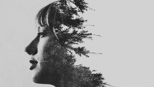 Using Multiple Exposures to Create Abstract Photographs