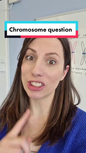 How many chromosomes did you count? This is essential to understand for meiosis and mitosis cell division. #alevelbiology #alevels2023 #alevelexam #biologyteacher #teacher #alevelstudent #chromosomes