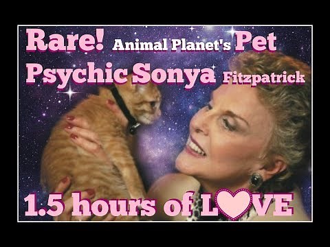 RARE! 1.5 hours of Pet Psychic Sonya Fitzpatrick