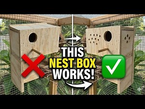 DIY Finch Nest Boxes 🐦 | Best Nest Box Designs for Successful Finch Breeding