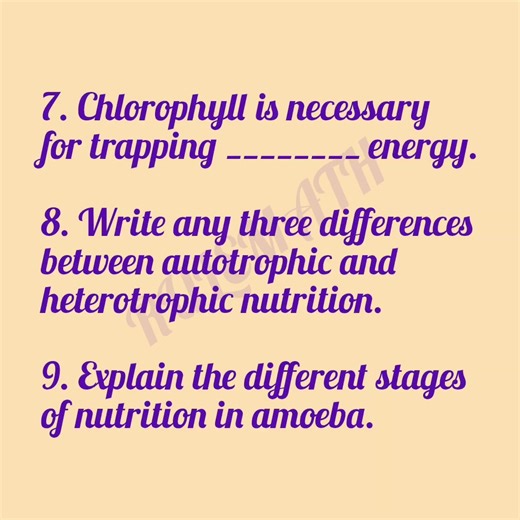 Nutrition Questions Part 2 #biology #board exam #nutrition