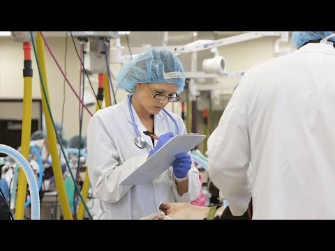 Graduate Programs at Veterinary Medicine and Biomedical Sciences at Texas A&M