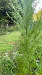 Bird watching #fyp #fyp #gamewarden #birdwatching #funnyvideos #laughing | Jerry & Jr