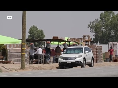 Cal/OSHA launches agricultural task force to protect Kern County farmworkers