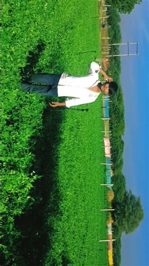 फॉर्मिंग टाईम