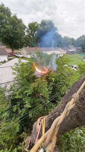 92K views · 504 reactions | Two-phase connection of the medium voltage network by a tree branch Via iran_line_man Credit to the owner(unknown) - Please DM for credit or removal #linecrate #lineman #linelife #linemanlife #linemanpride #linepride #powerlineman #LineWork #lineworker #lineworkers #EssentialWorkers | LineCrate | Facebook