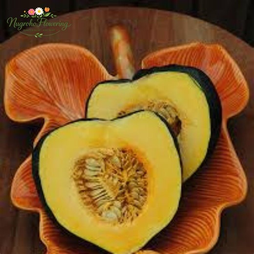 Table Queen Acorn Squash Seeds Heirloom Bush Winter Squash AAS Winner Vegetable Seeds Non GMO - Etsy