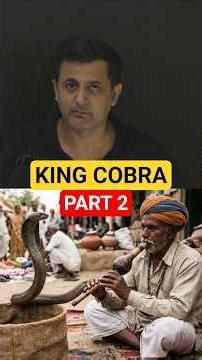 The Truth About the King Cobra | Part 2