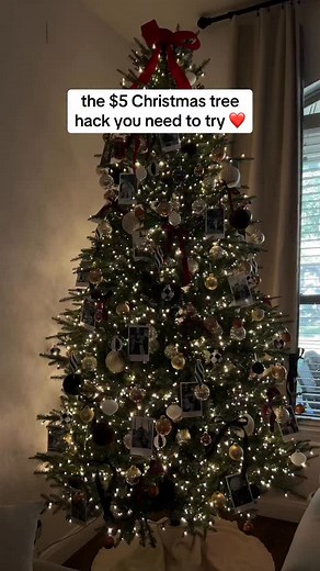 this Christmas tree idea came to my imagination last night and I had to create it immediately! ❤️🎄 I love the idea of adding to it each year and pairing photos with sentimental ornaments. @walgreens #christmastreedecor #christmasornaments #diyornaments #viral #christmashack | SarahJoy.tv