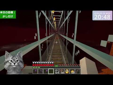 Minecraft test (Java Edition 1.21.11)
