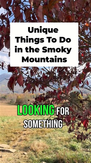 🏞️ Unique Things To Do Gatlinburg, Pigeon Forge #gatlinburg #pigeonforge #thingstodo #uniquethings #smokymountains #travel #tennessee #vacation #fun | TheSmokies.com